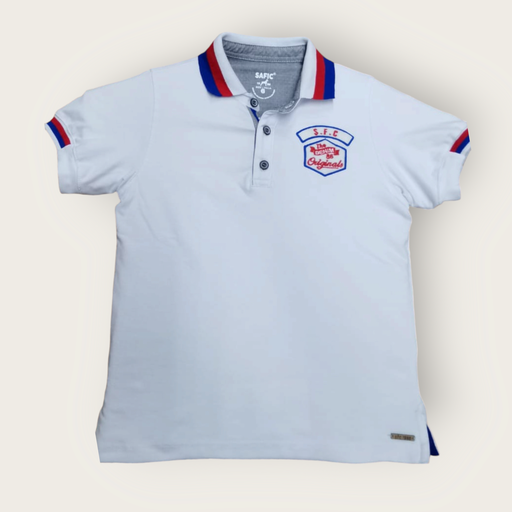 Camiseta tipo polo